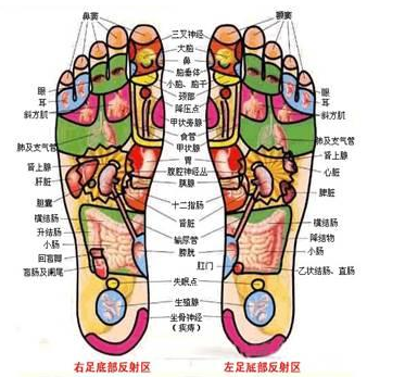 玉強(qiáng)龍技術(shù)足療的常用手法.png